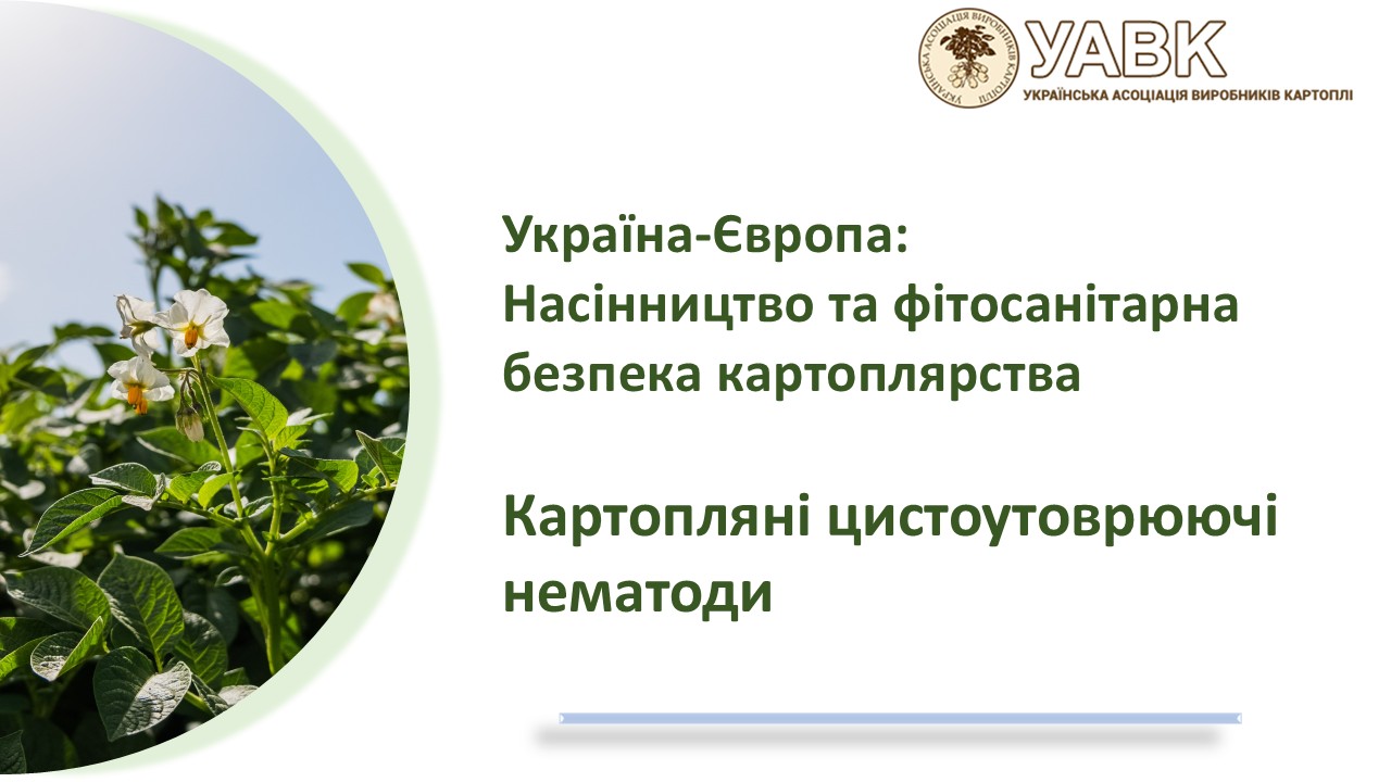 Матеріали зустрічі 