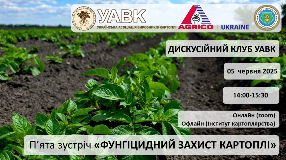 freeblock-2025-05-23-14-59-30-959843516.jpg