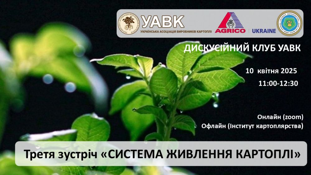 freeblock-2025-05-23-15-01-30-873711629.jpg